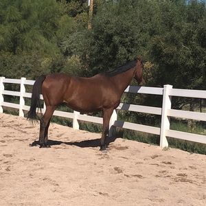 Meet your Posher, Diane